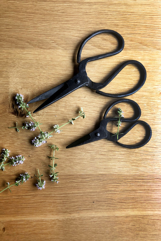 Household Scissors - Iron