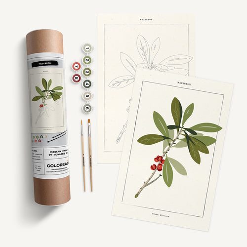 Mezereon Botanical - Modern Paint By Numbers Kit