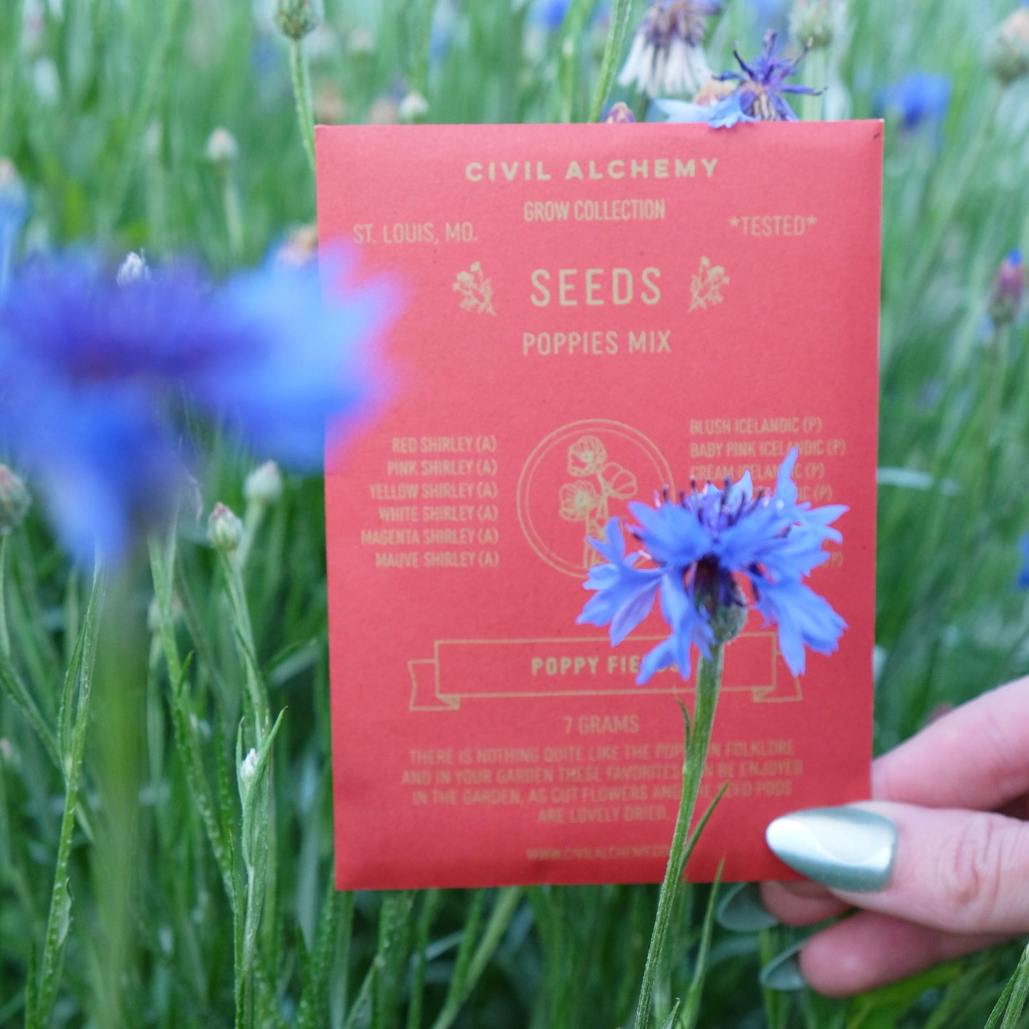 Poppies Seed Mix