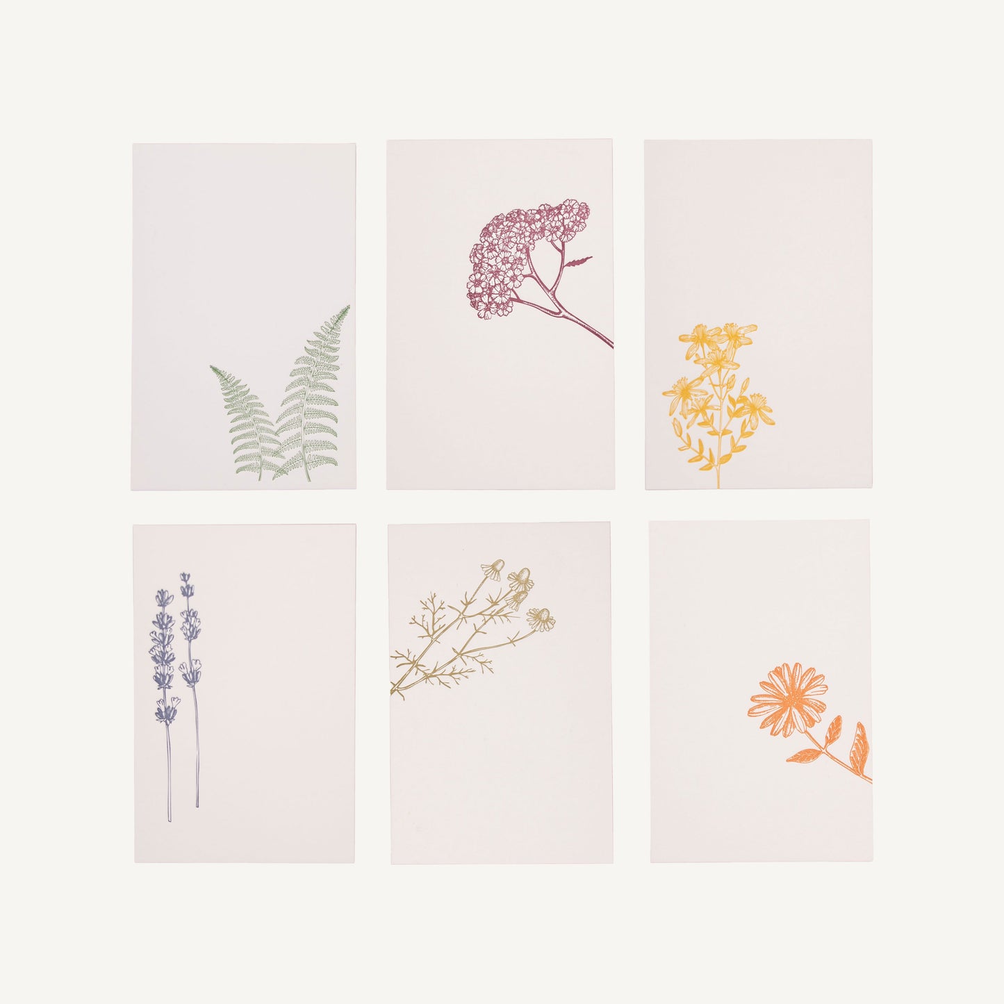 Medical Herb Cards Collection