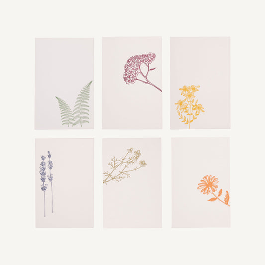 Medical Herb Cards Collection