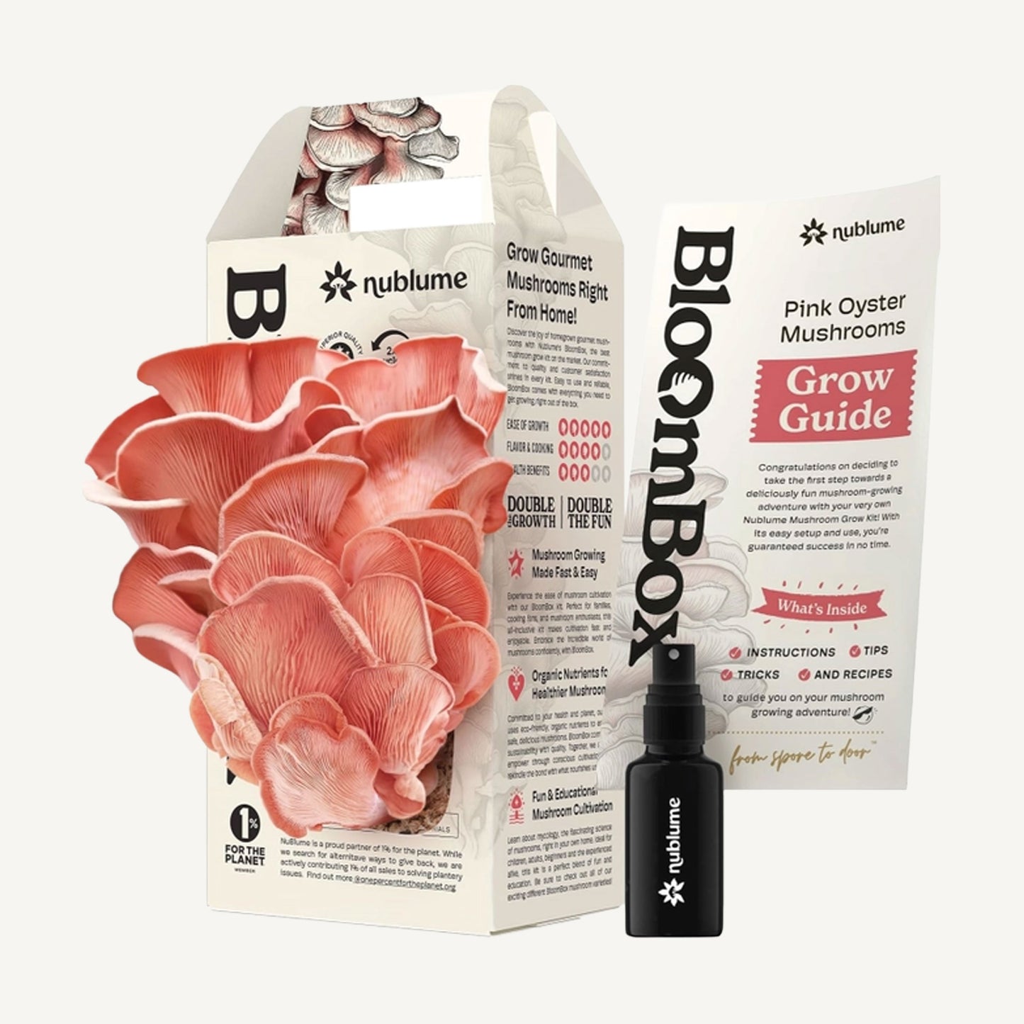 Pink Oyster Mushroom Indoor Grow Kit