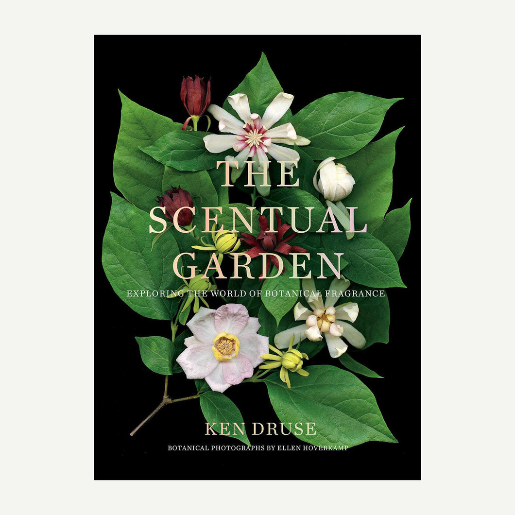 Book cover of 'The Scentual Garden' with floral design and text on a black background