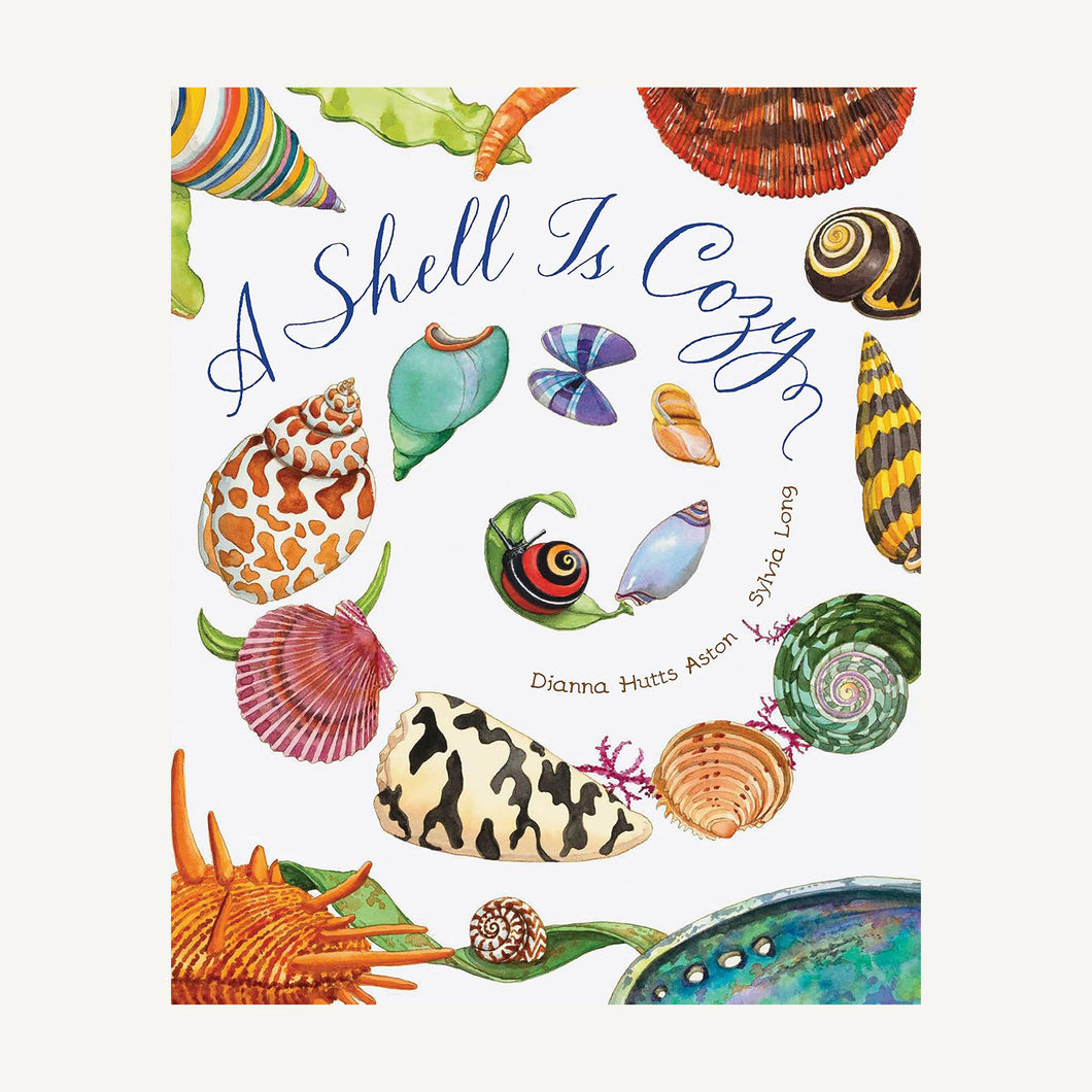 A Shell Is Cozy