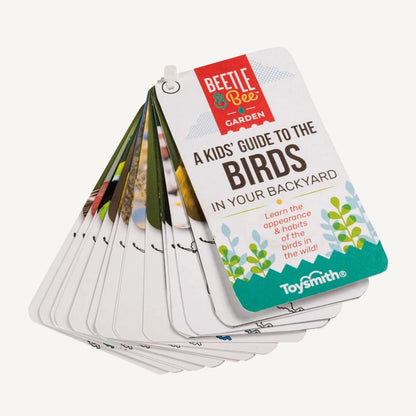 Beetle & Bee Bird Watching Set Kids