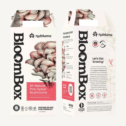 Pink Oyster Mushroom Indoor Grow Kit