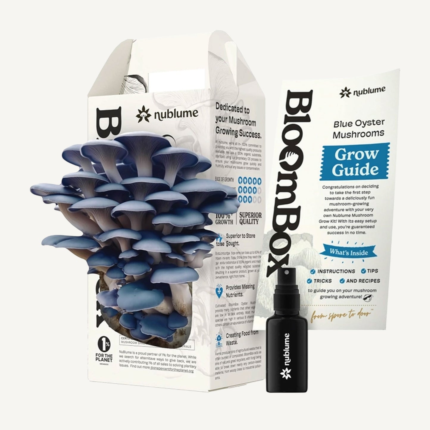 Blue Oyster Mushroom Indoor Grow Kit