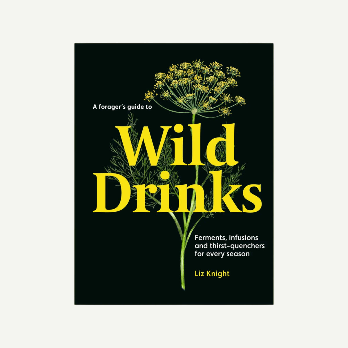 A Forager's Guide To Wild Drinks