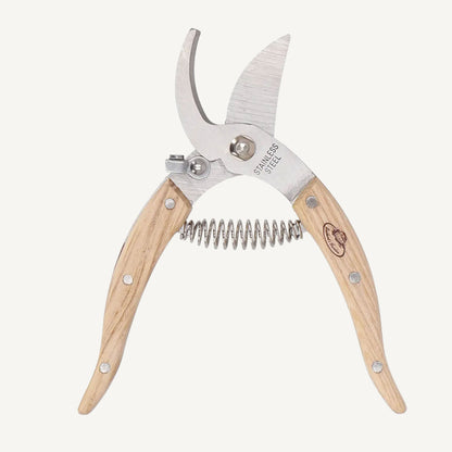 Indoor Pruning Sheers, Stainless Steel