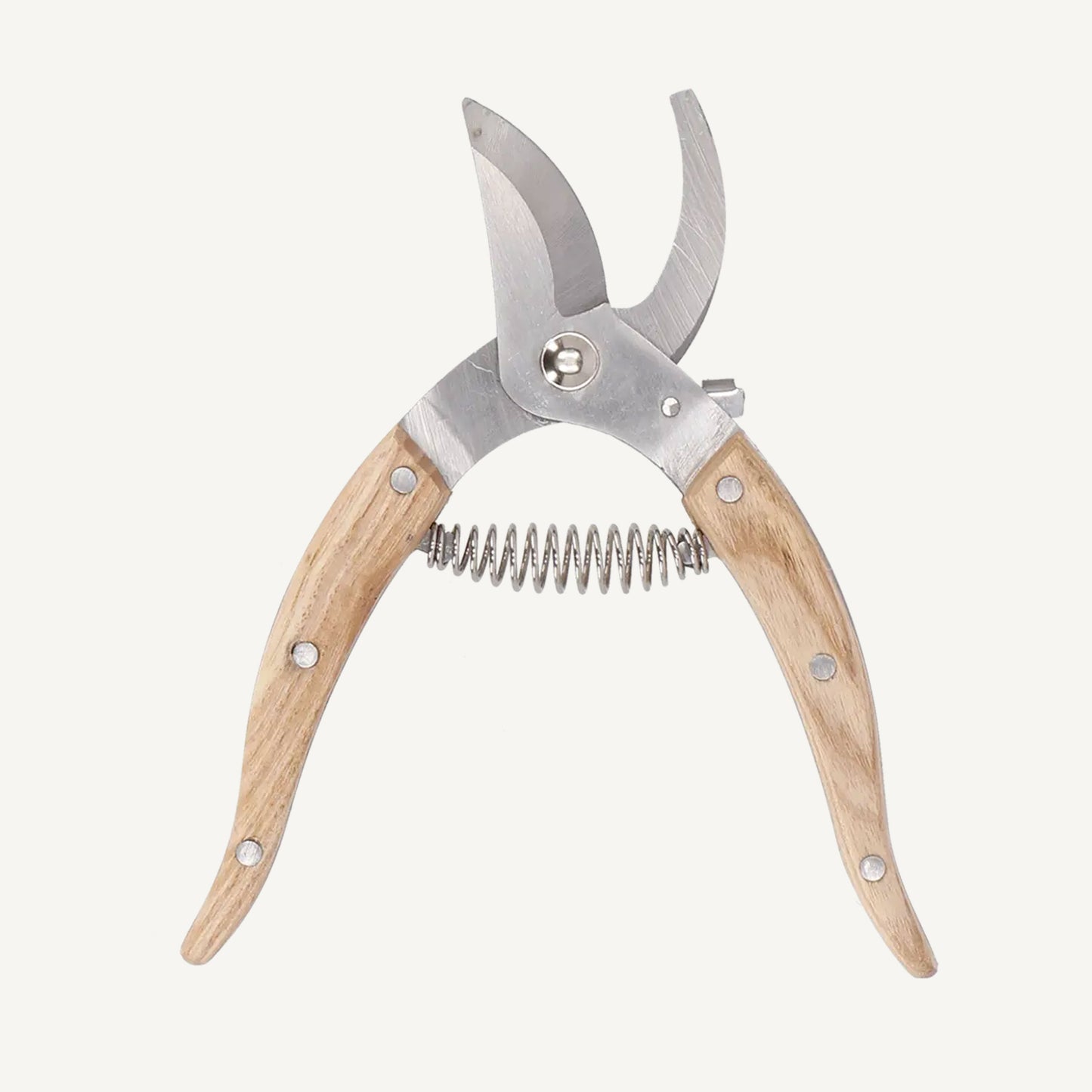 Indoor Pruning Sheers, Stainless Steel