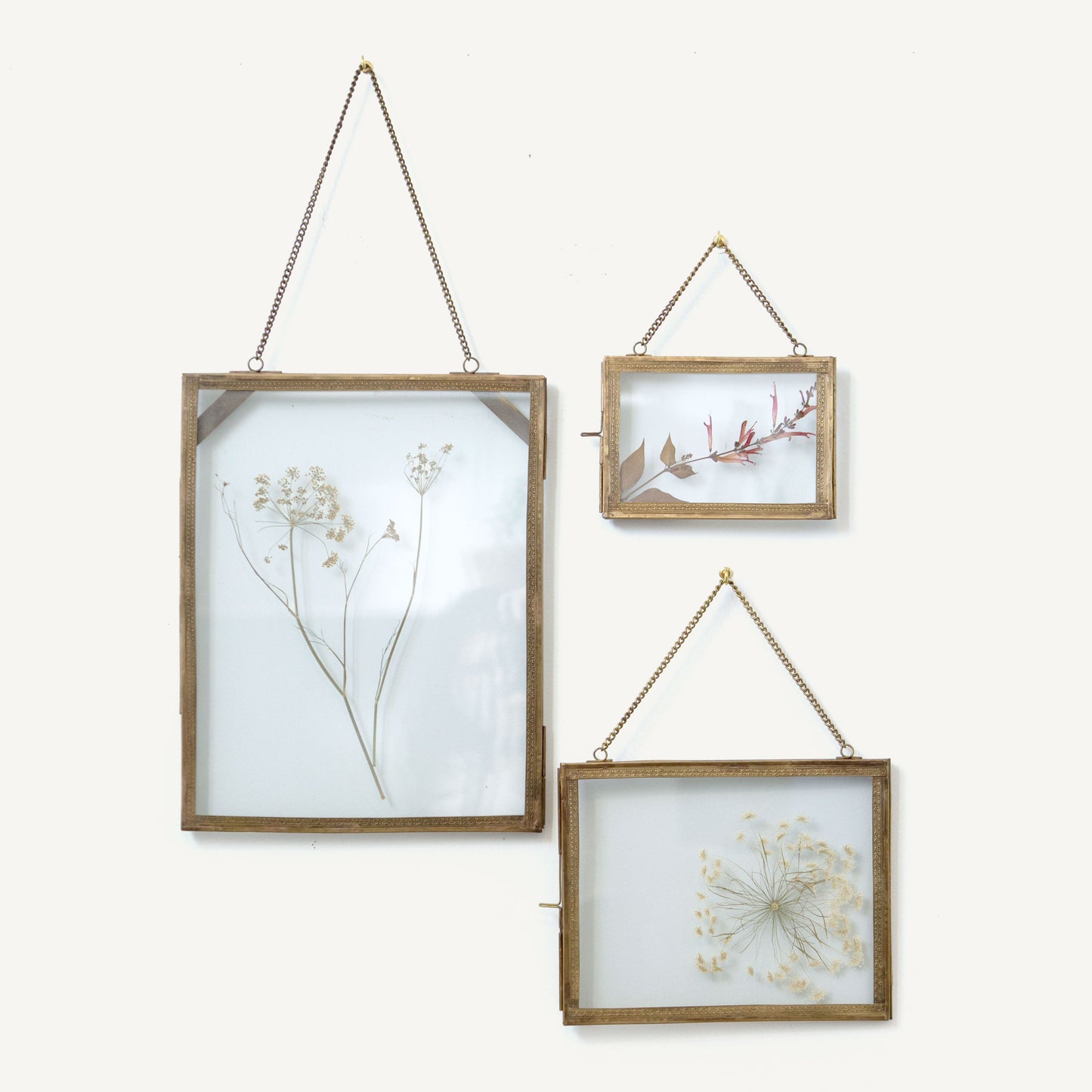 Three wooden picture frames with dried plants on a white background