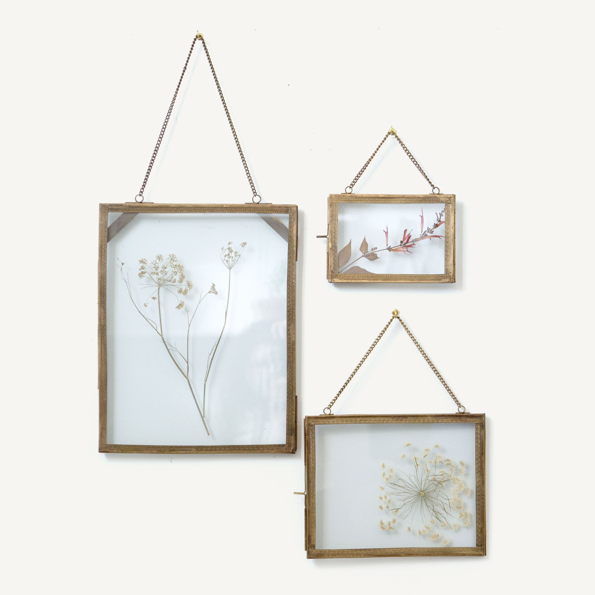 Three wooden picture frames with dried plants on a white background
