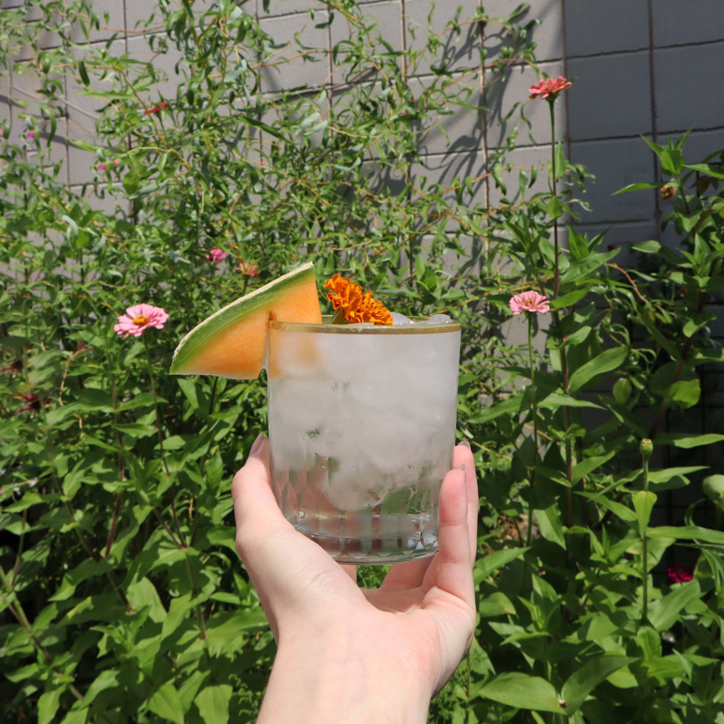 Mezcal & Cheese Pairing Class - July 17th 2026
