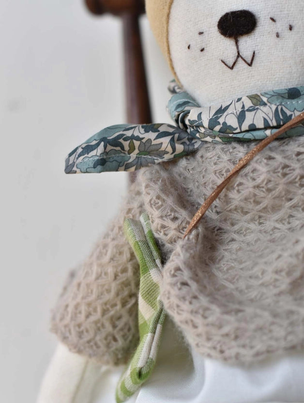 Fig the Frenchie Dog