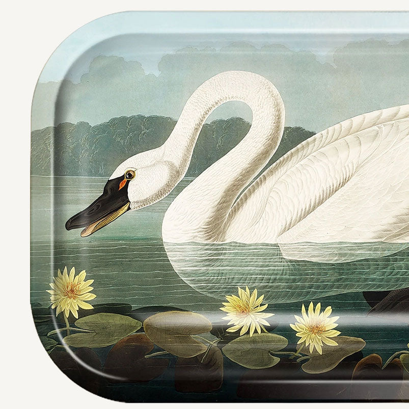 Metal Audubon Swan Tray