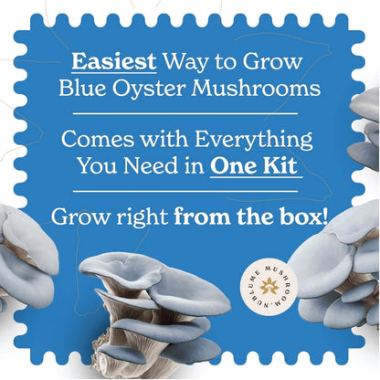 Blue Oyster Mushroom Indoor Grow Kit