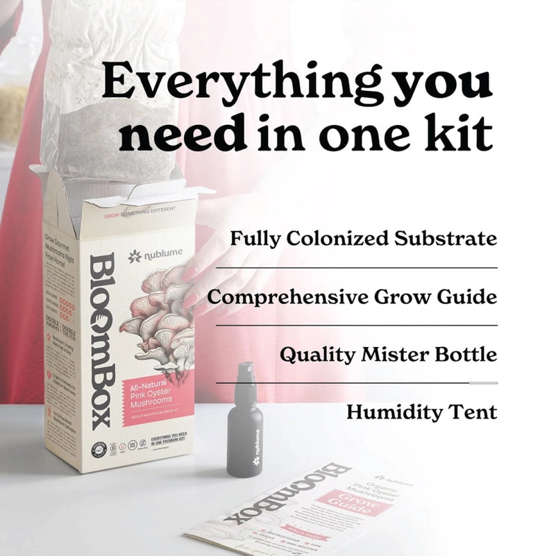 Pink Oyster Mushroom Indoor Grow Kit