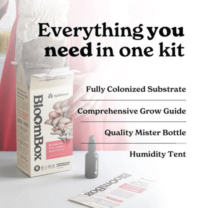 Pink Oyster Mushroom Indoor Grow Kit