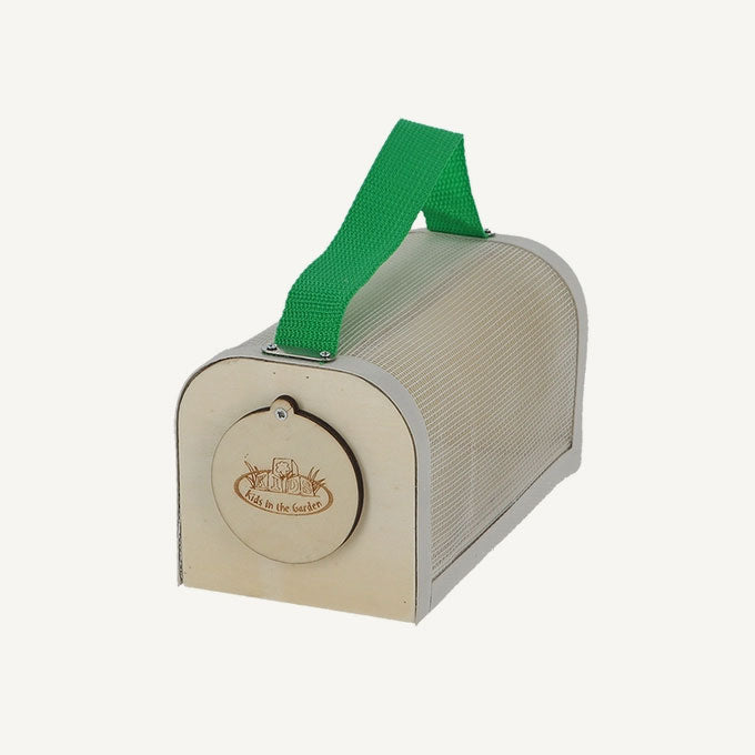 Insect Observation Box