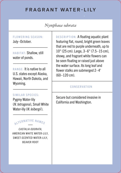 Wildflower Id Flashcards - New York Botanical Garden
