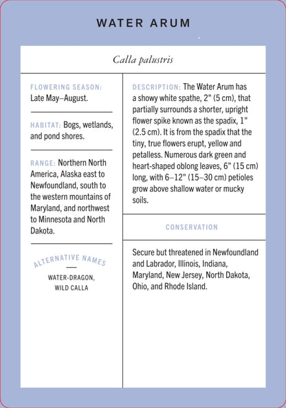 Wildflower Id Flashcards - New York Botanical Garden