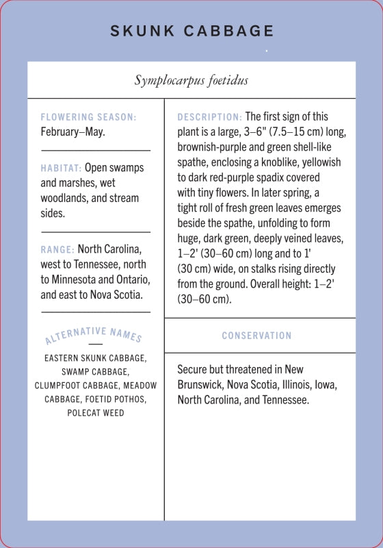 Wildflower Id Flashcards - New York Botanical Garden