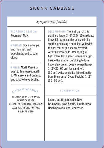 Wildflower Id Flashcards - New York Botanical Garden