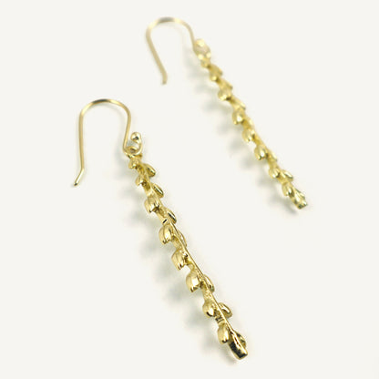 Gold chain earrings on a white background
