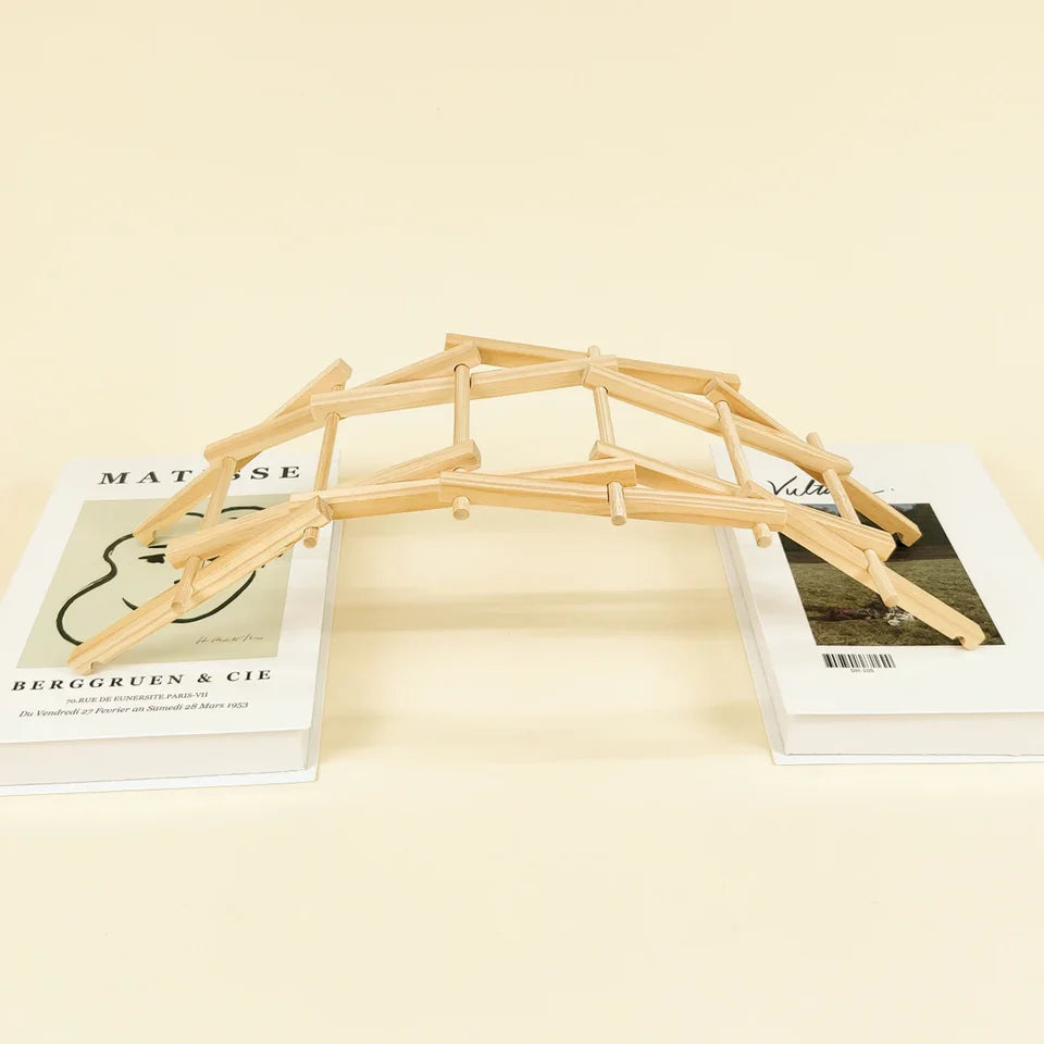 Da Vinci's Bridge DIY Kit