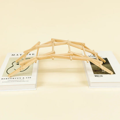 Da Vinci's Bridge DIY Kit