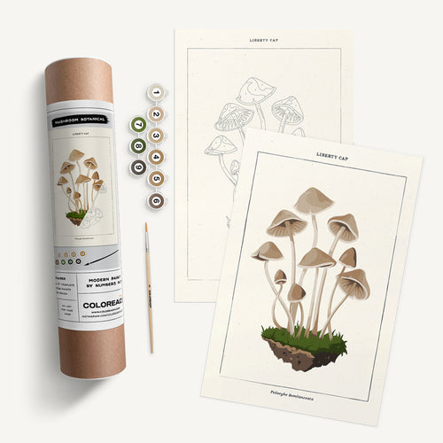 Mushroom Botanical - Modern Paint By Numbers Kit