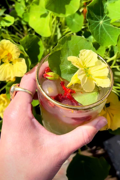 Hand holding a glass with a yellow flower and red berries against a green leafy background