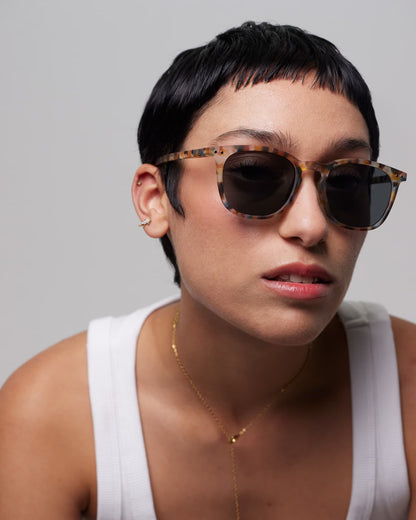 Sun E - Blue Tortoise
