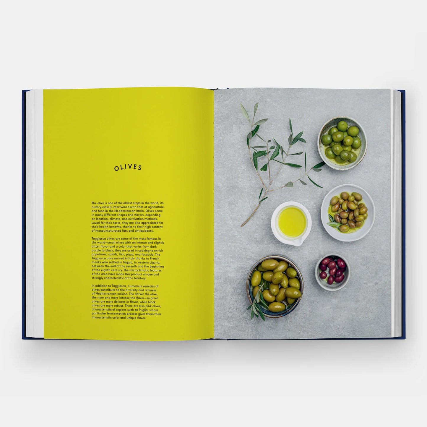 The Book of Pasta