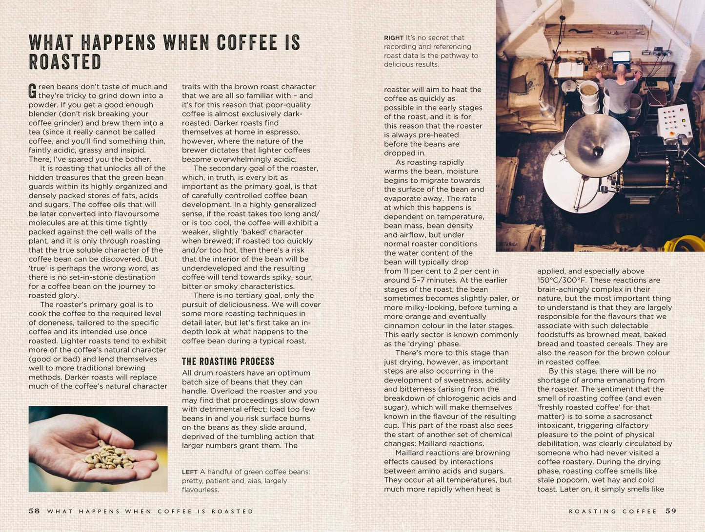 Curious Barista's Guide To Coffee