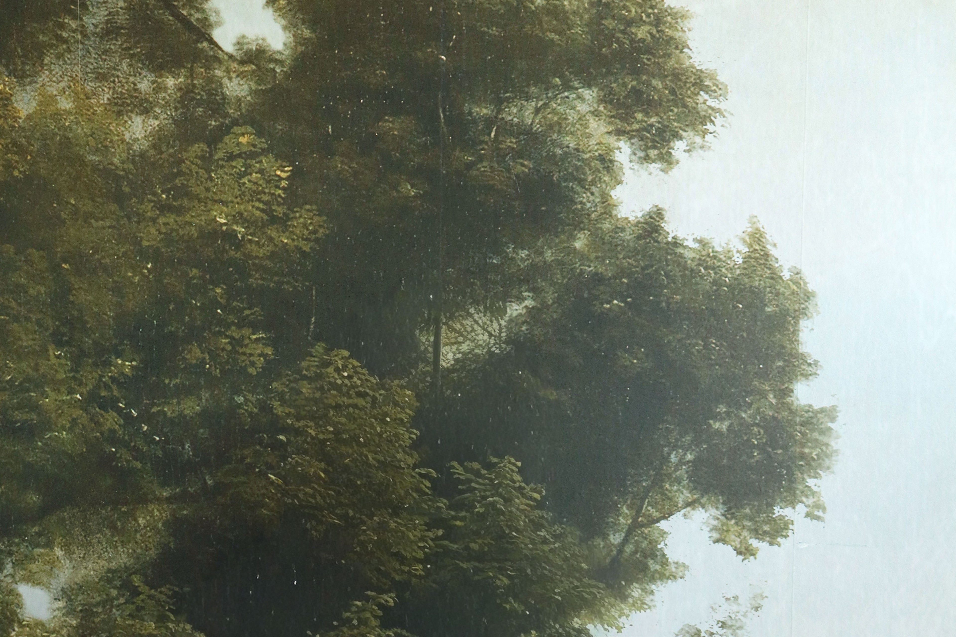 Tall trees with dense foliage against a light blue sky