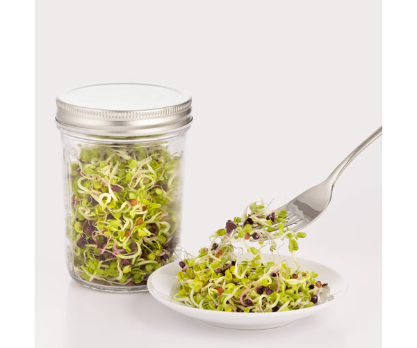 Sprouting Set