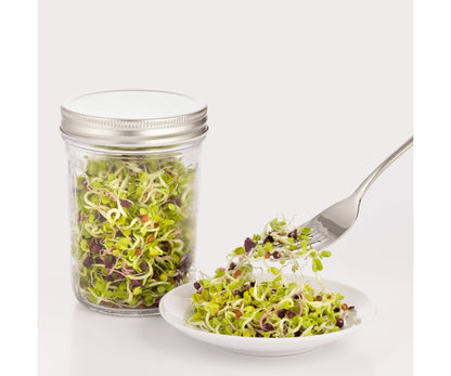 Sprouting Set
