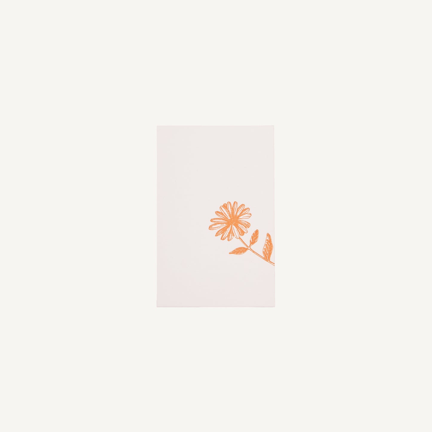 Calendula Stationery