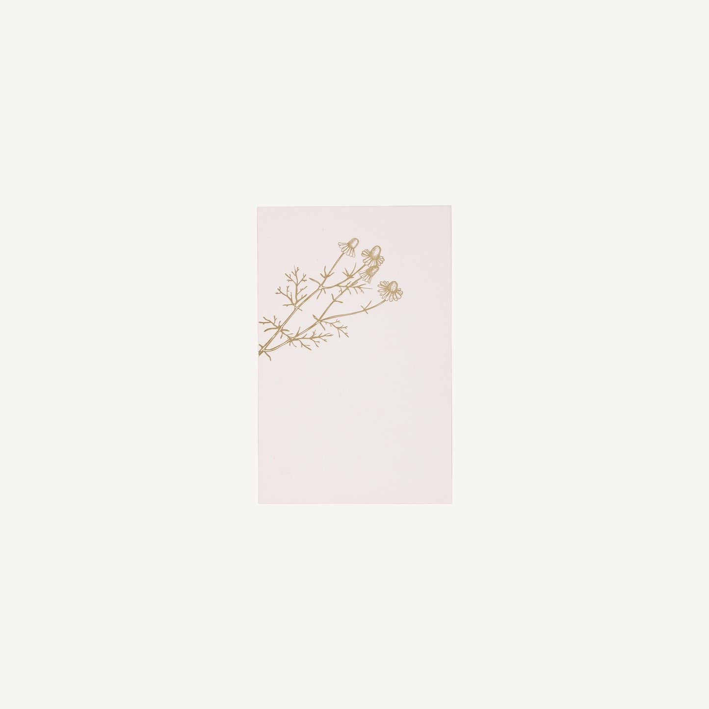 Chamomile Stationery