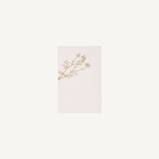 Chamomile Stationery