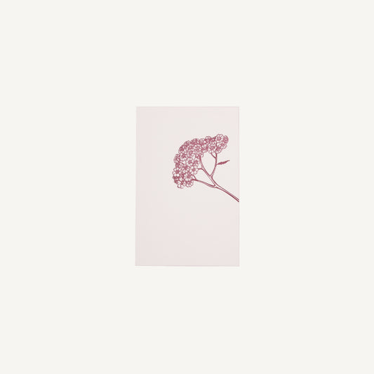 Yarrow Stationery