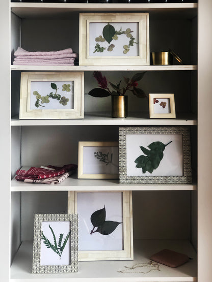 Bone Beadboard Picture Frames